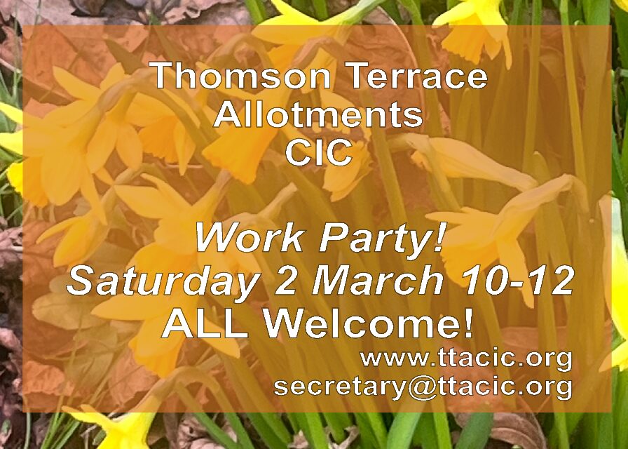 Work Party Saturday 2 March 2024, 10 AM to Noon